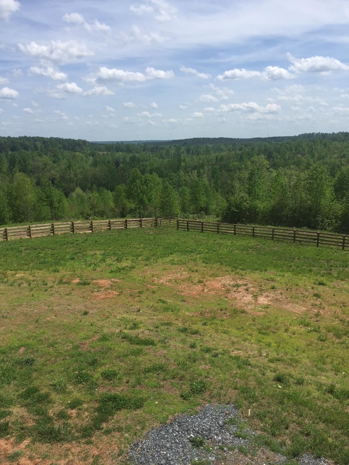 Carolina Brush Hogs Forestry Mulching
