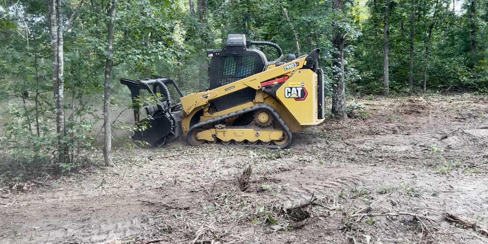 Invasive Growth Removal